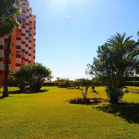 Corbeta 812 Torrox